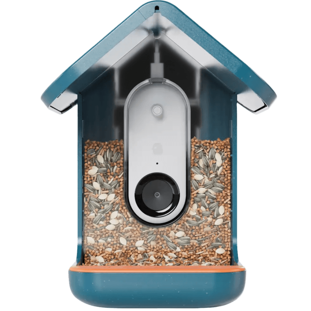 Smart Bird Feeder Solar Roof Blue