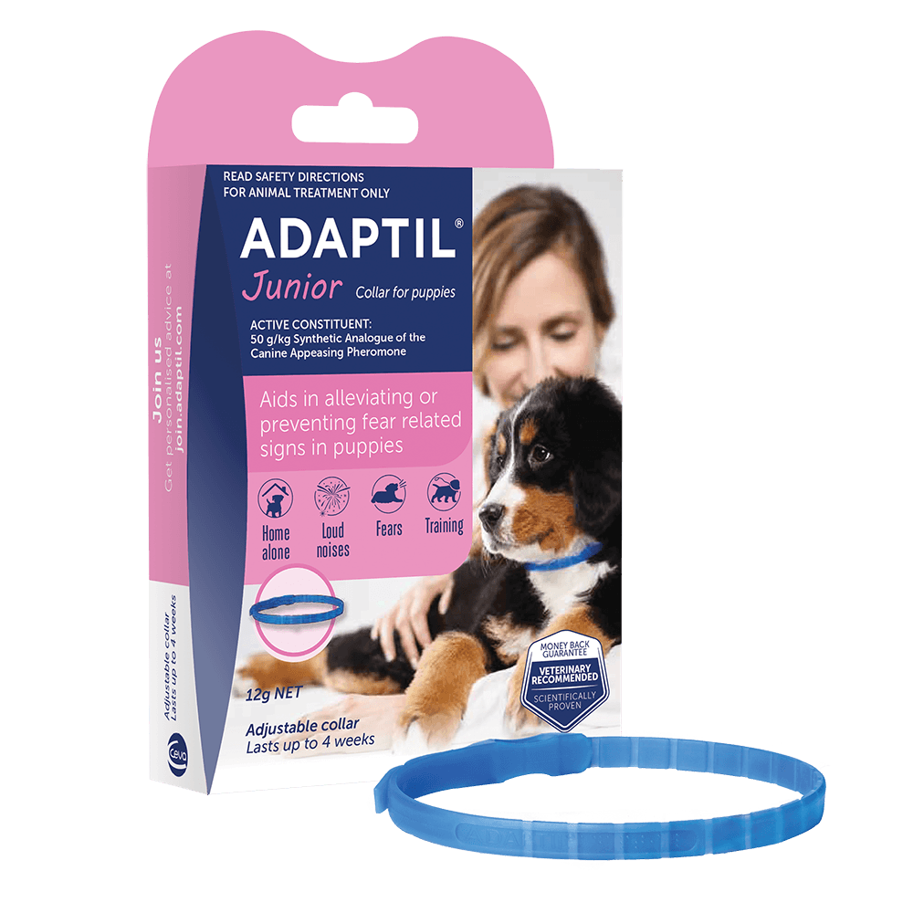 Adaptil Junior Calming Collar