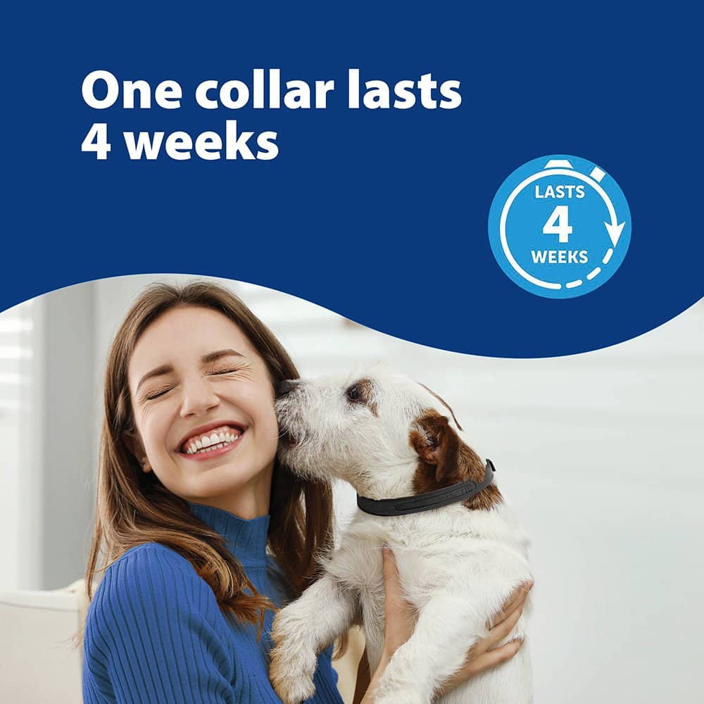 Adaptil Calming Collar