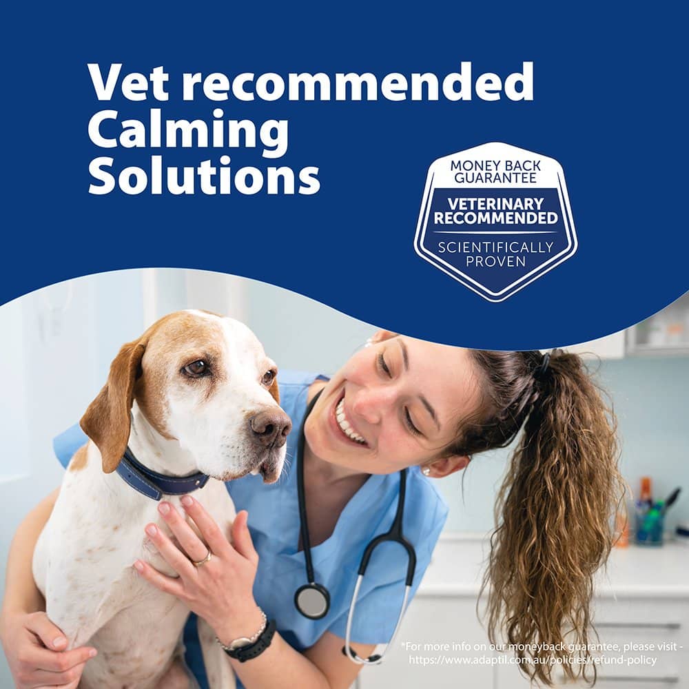 Adaptil Calming Collar