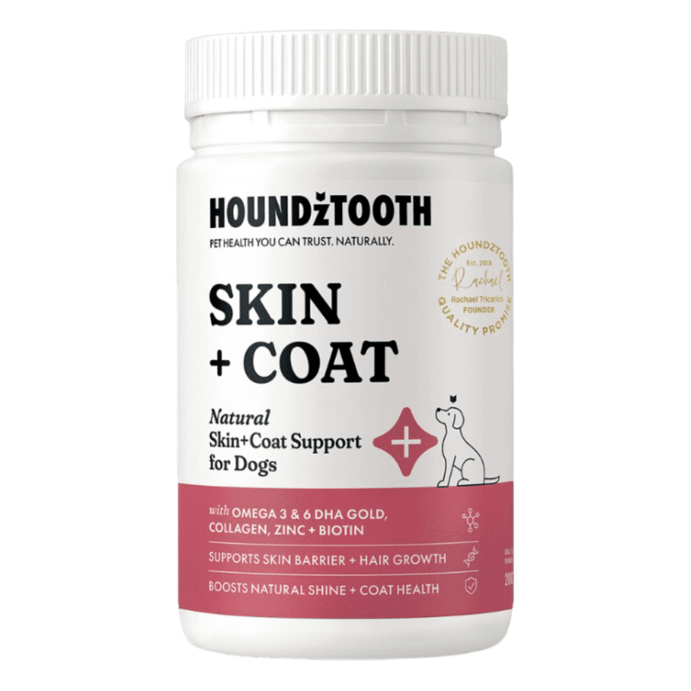 Skin + Coat Omega Biotin Supplement Powder for Dogs