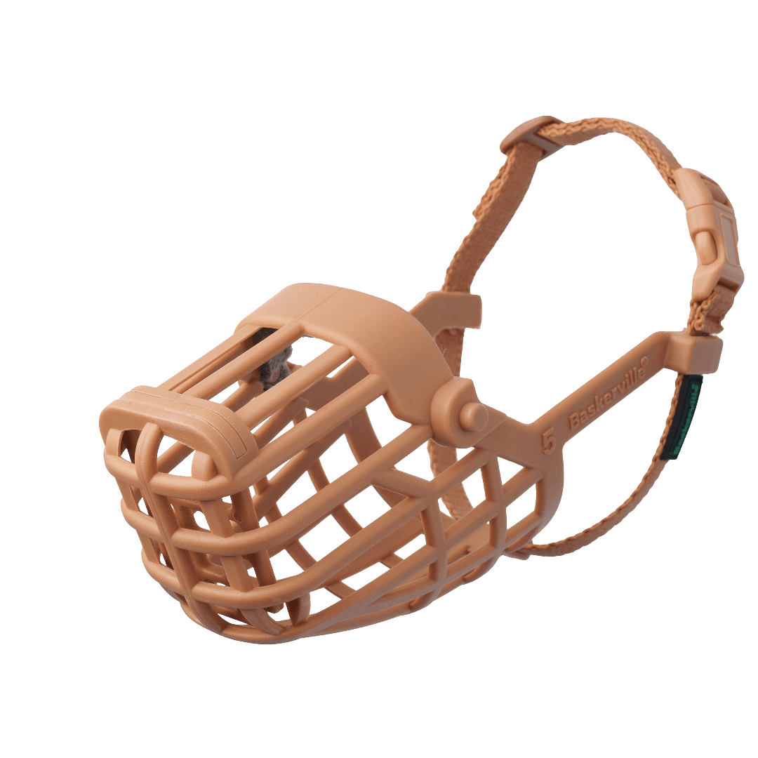 Classic Basket Muzzle Dog Beige