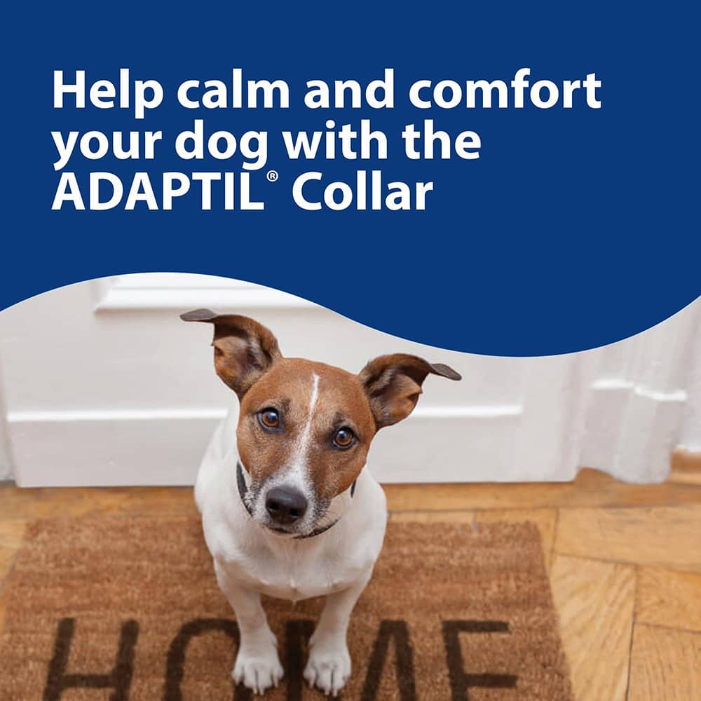 Adaptil Calming Collar
