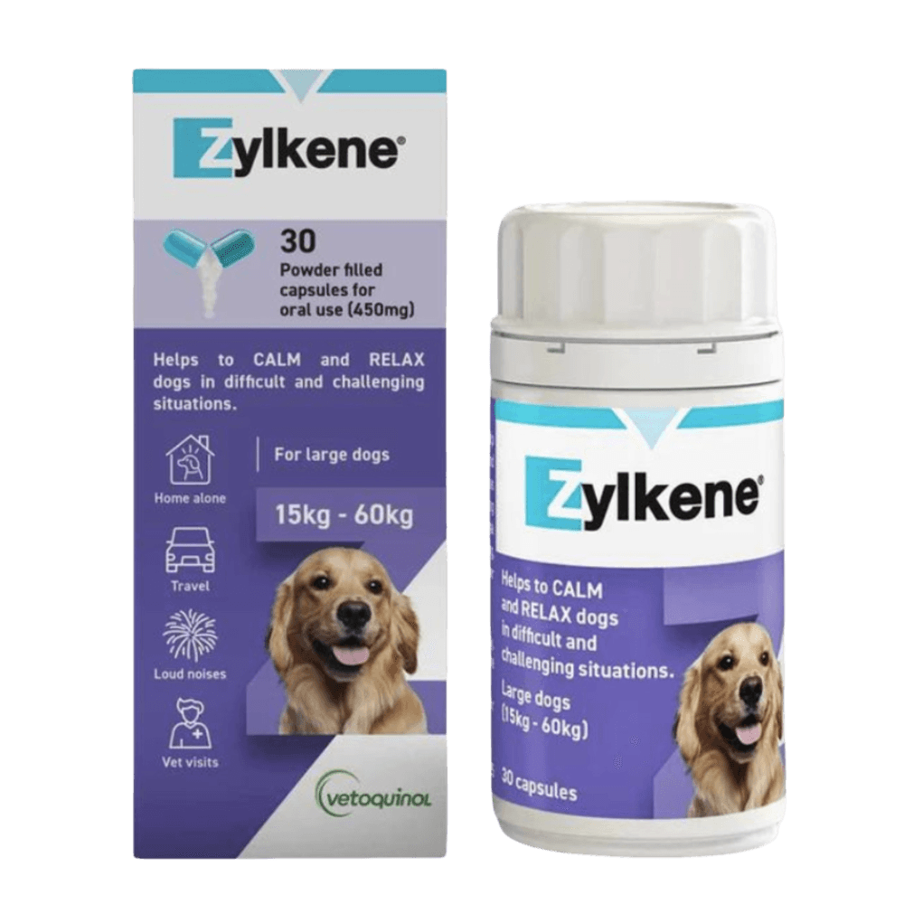 Calming Supplement For Large Dogs