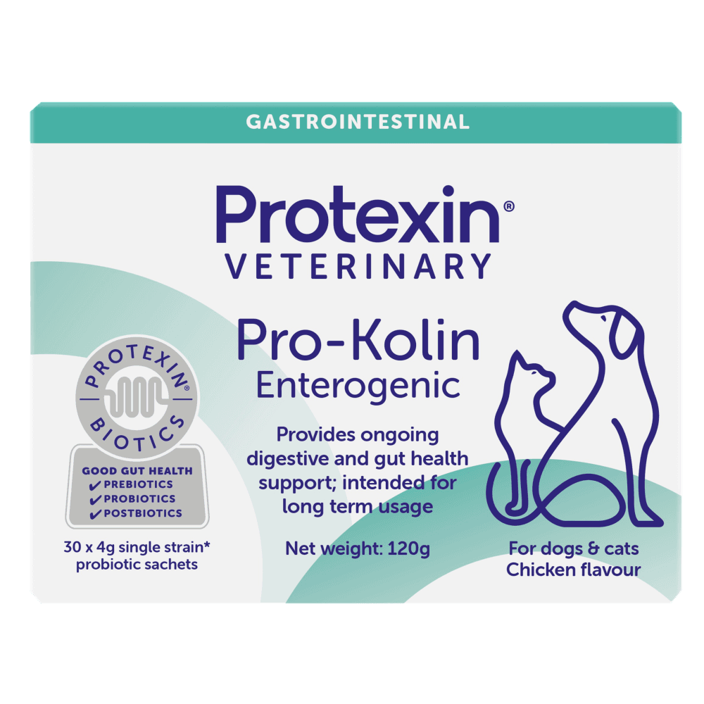 Pro-Kolin Enterogenic Dogs & Cats Long Term Gastrointestinal Support