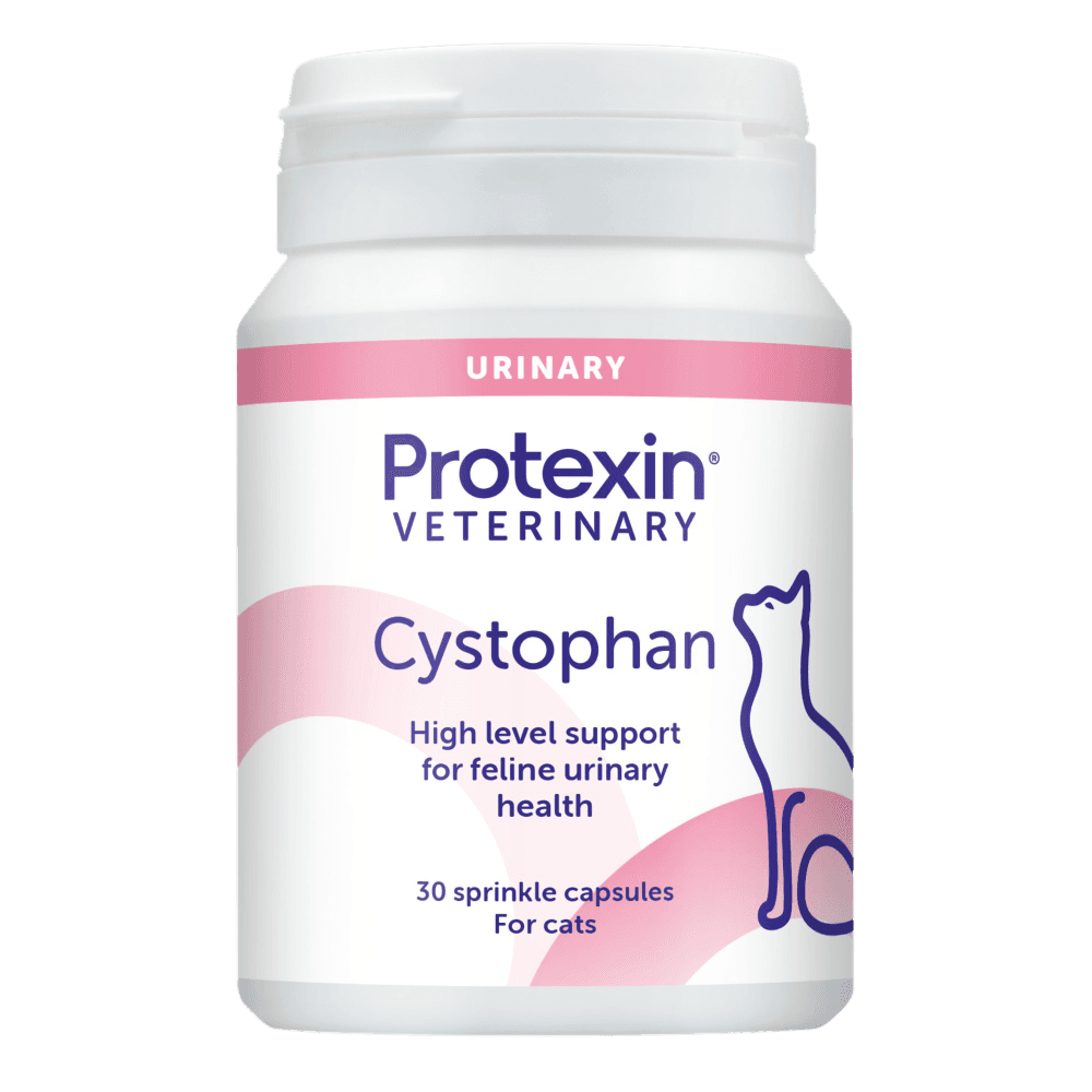 Cystophan Urinary Capsules For Cats