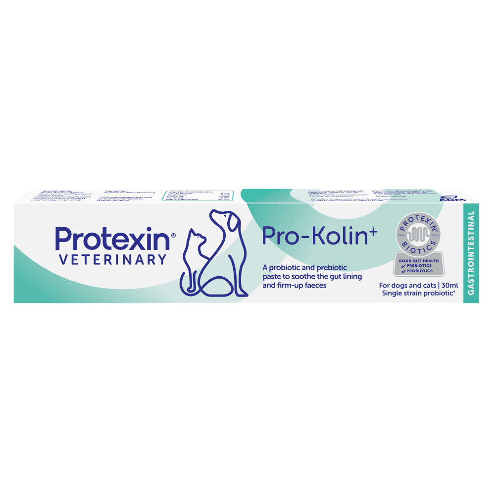 Pro Kolin+ Probiotic Paste Dogs & Cats Short Term Gastrointestinal Support