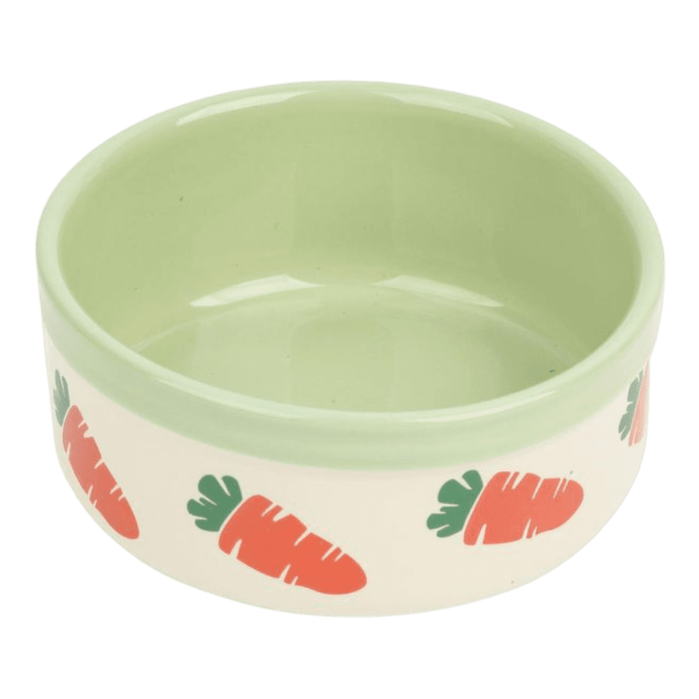 Carrot Decal Small Animal Dish