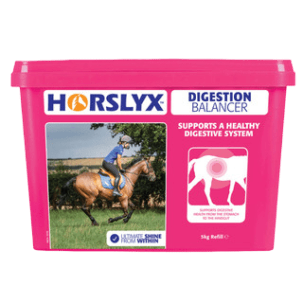 Digestion Vit And Mineral Lick Horse Treat