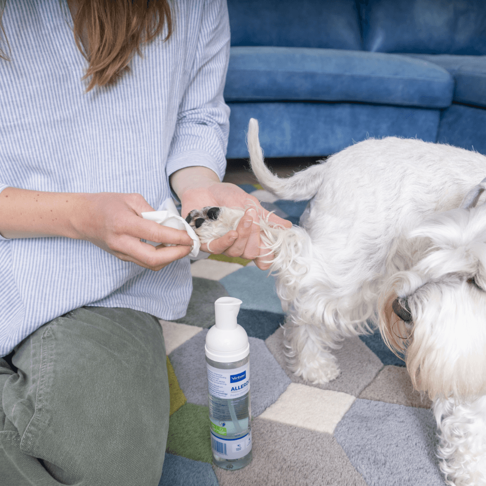 Allerderm Foam Cleanser for Dogs
