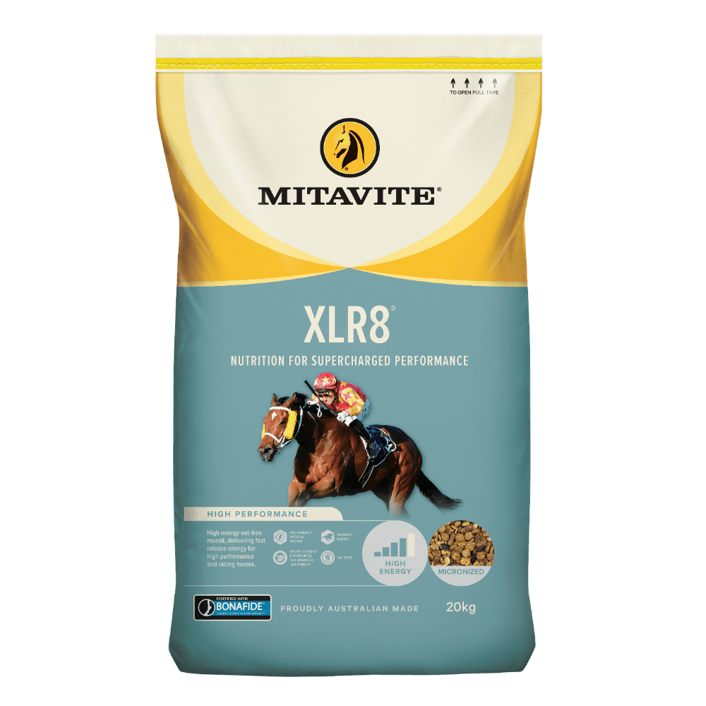 Xlr8 Horse Food
