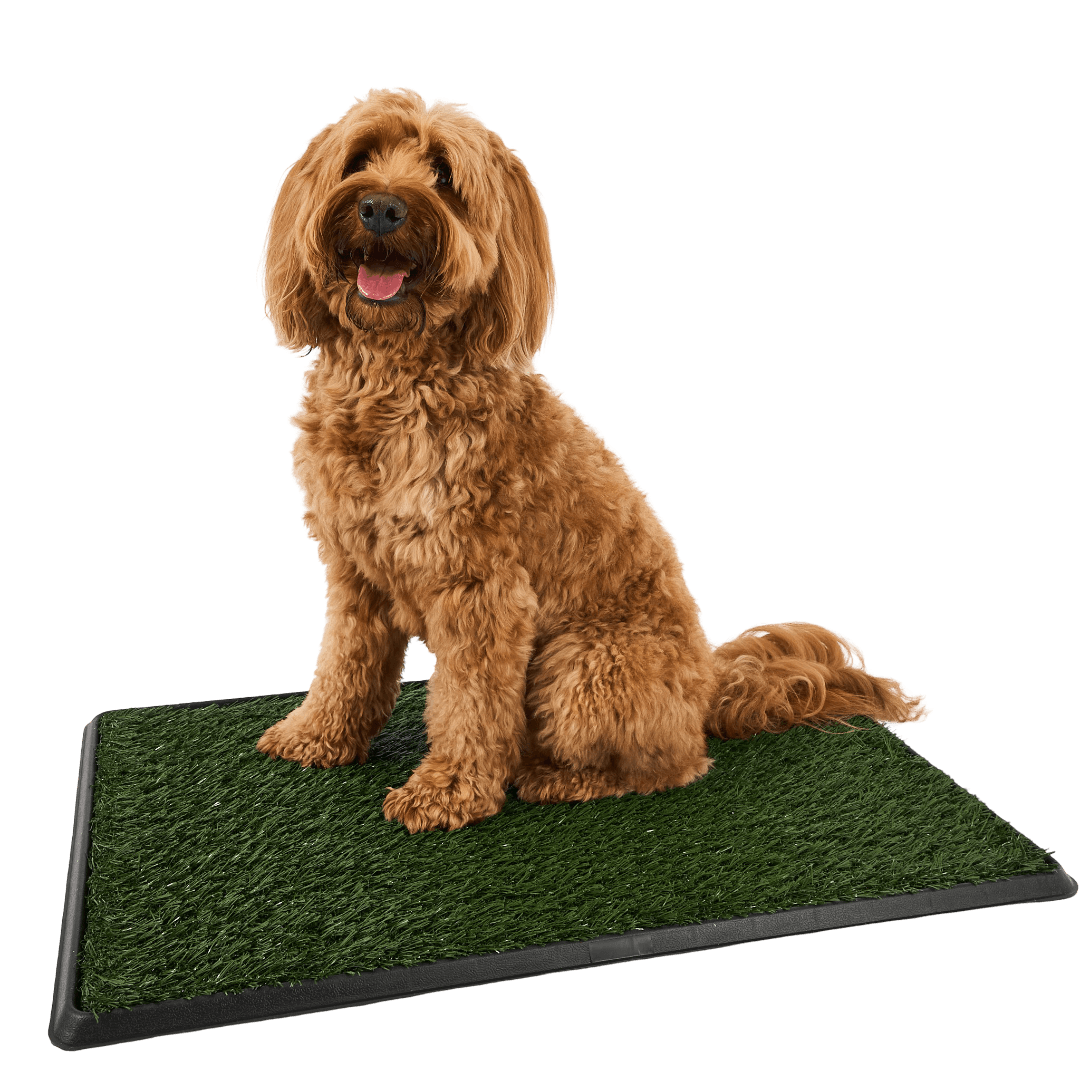 3 Layer Synthetic Grass Potty System