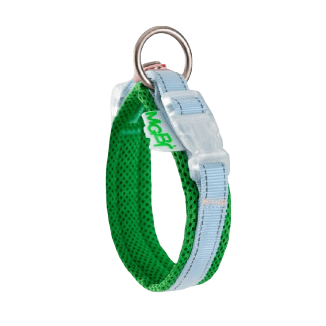 Miracle Dog Collar in Shamrock Green