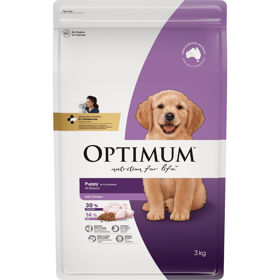 Chicken Puppy Dry Dog Food