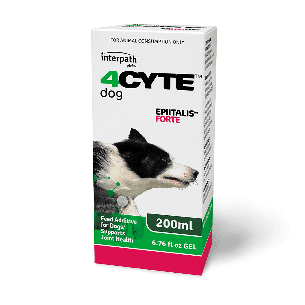 Epiitalis Forte Gel For Dog Joint Health Support
