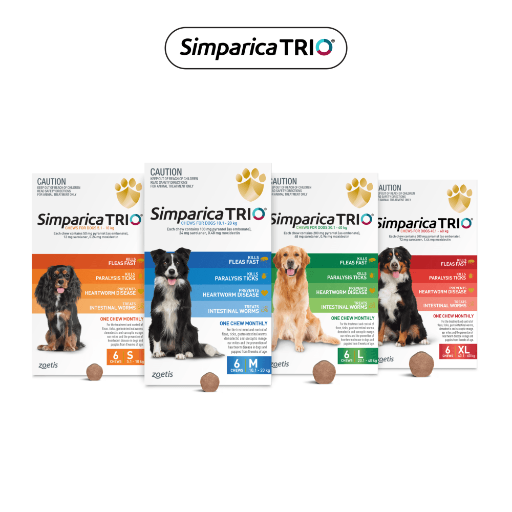 Simparica TRIO for Small Dogs 5.1–10kg (Orange) Flea, Tick & Worm Chewables