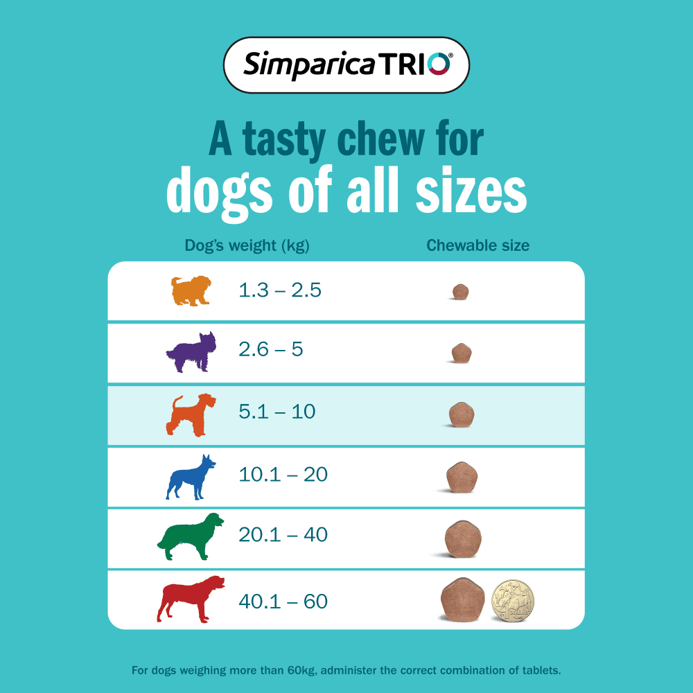 Simparica TRIO for Small Dogs 5.1–10kg (Orange) Flea, Tick & Worm Chewables
