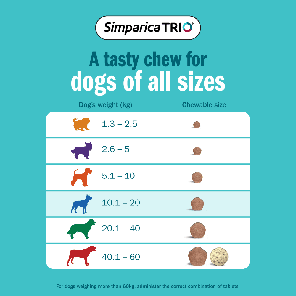 Simparica TRIO for Medium Dogs 10.1–20kg (Blue) Flea, Tick & Worm Chewables