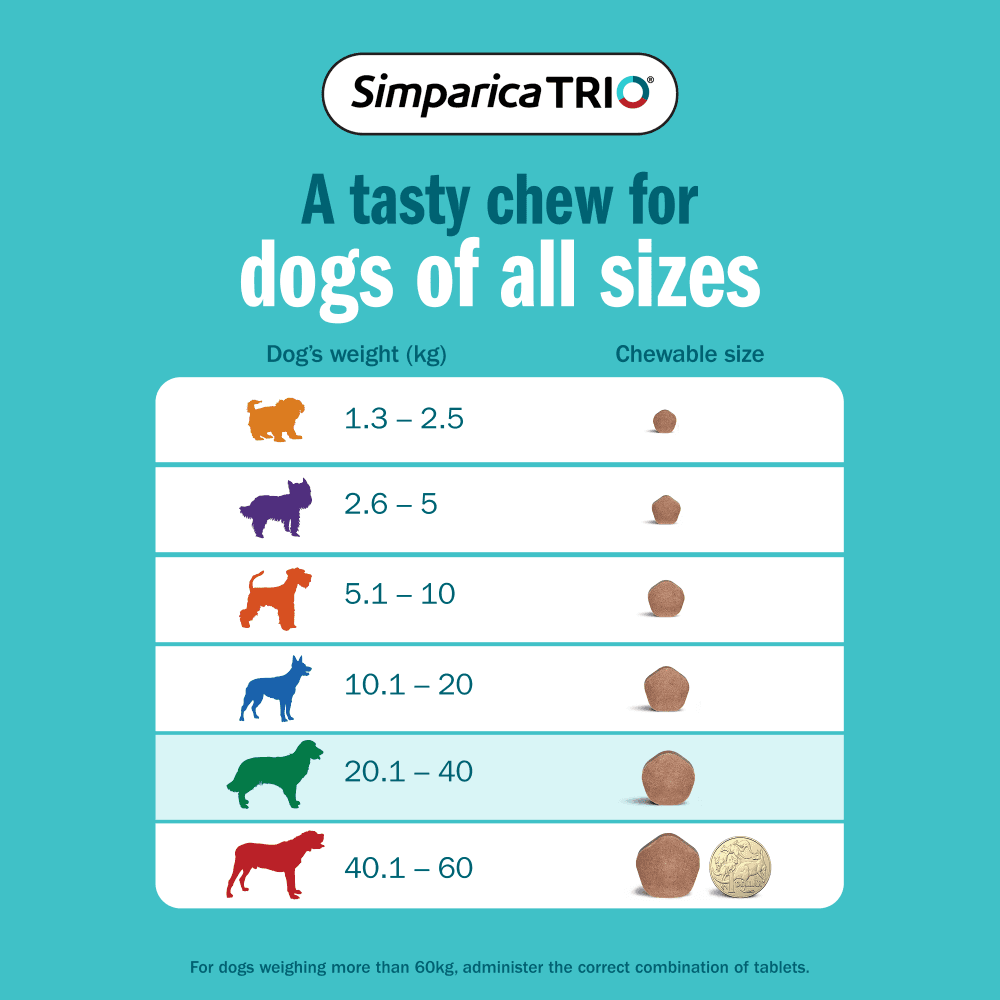Simparica TRIO for Large Dogs 20.1–40kg (Green) Flea, Tick & Worm Chewables