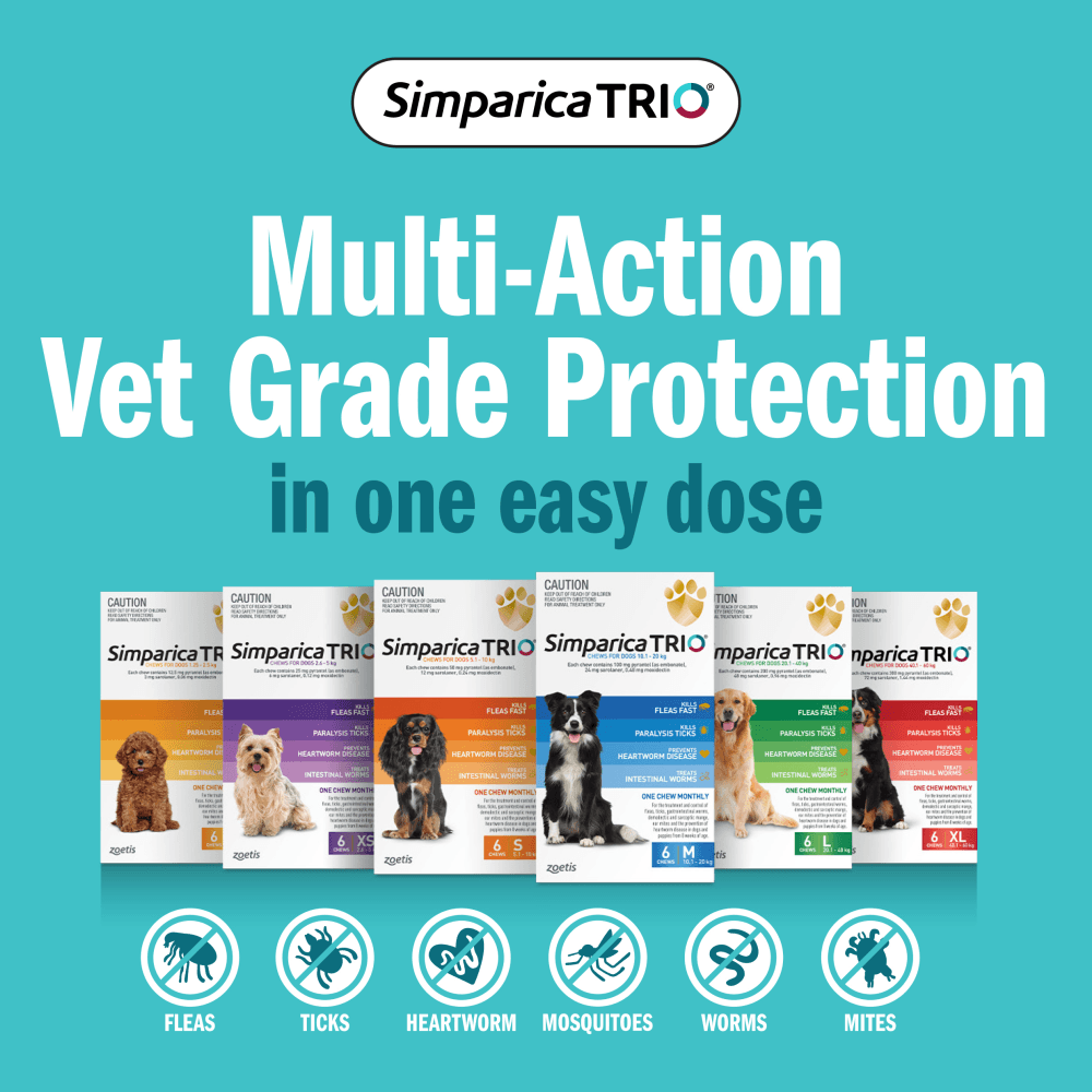 Simparica TRIO for Large Dogs 20.1–40kg (Green) Flea, Tick & Worm Chewables