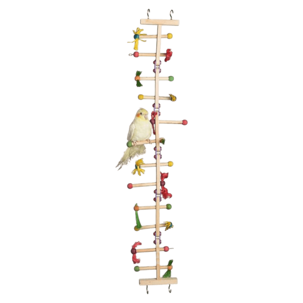 Nature Island Forage And Play Ladder Bird Toy