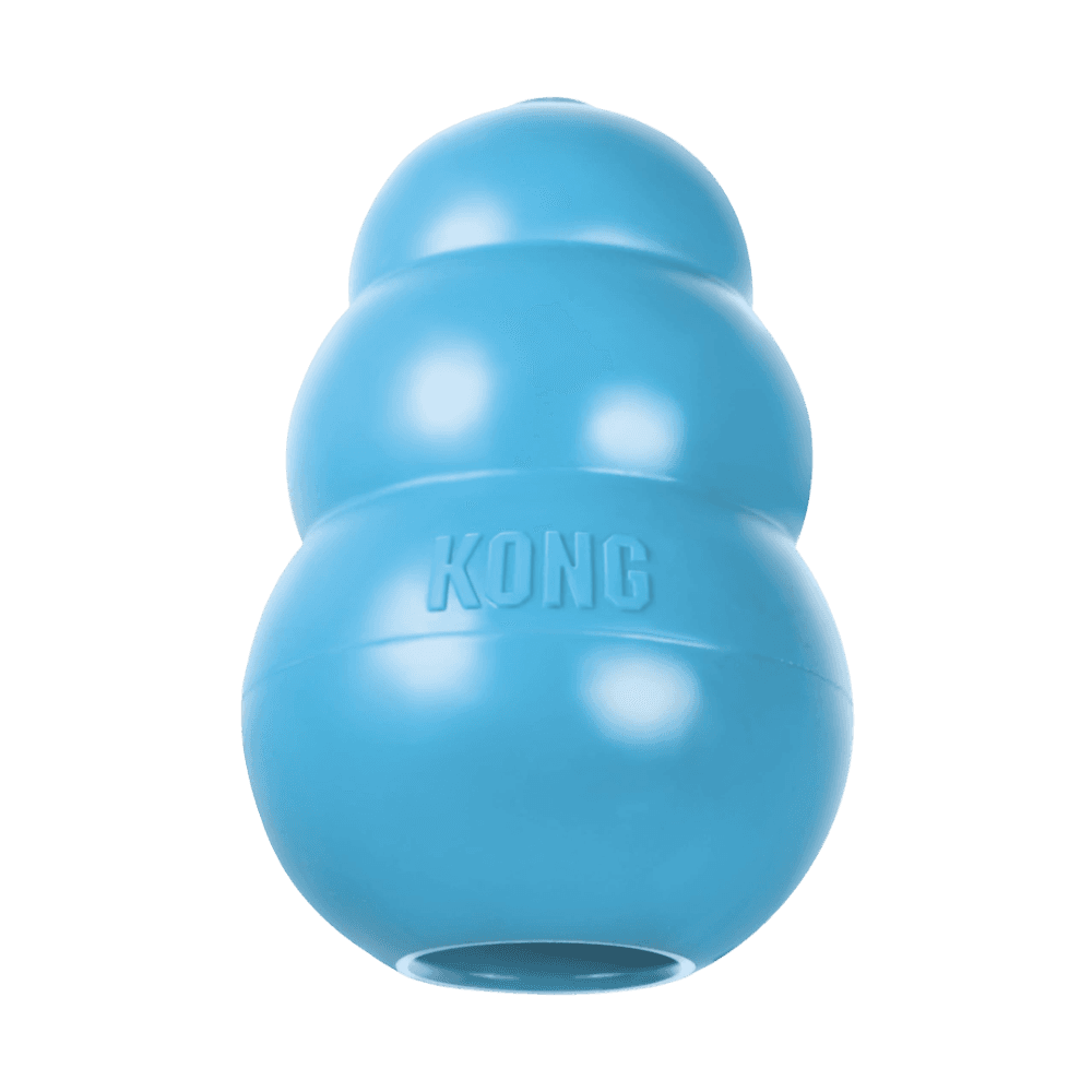 Kong Toy Puppy