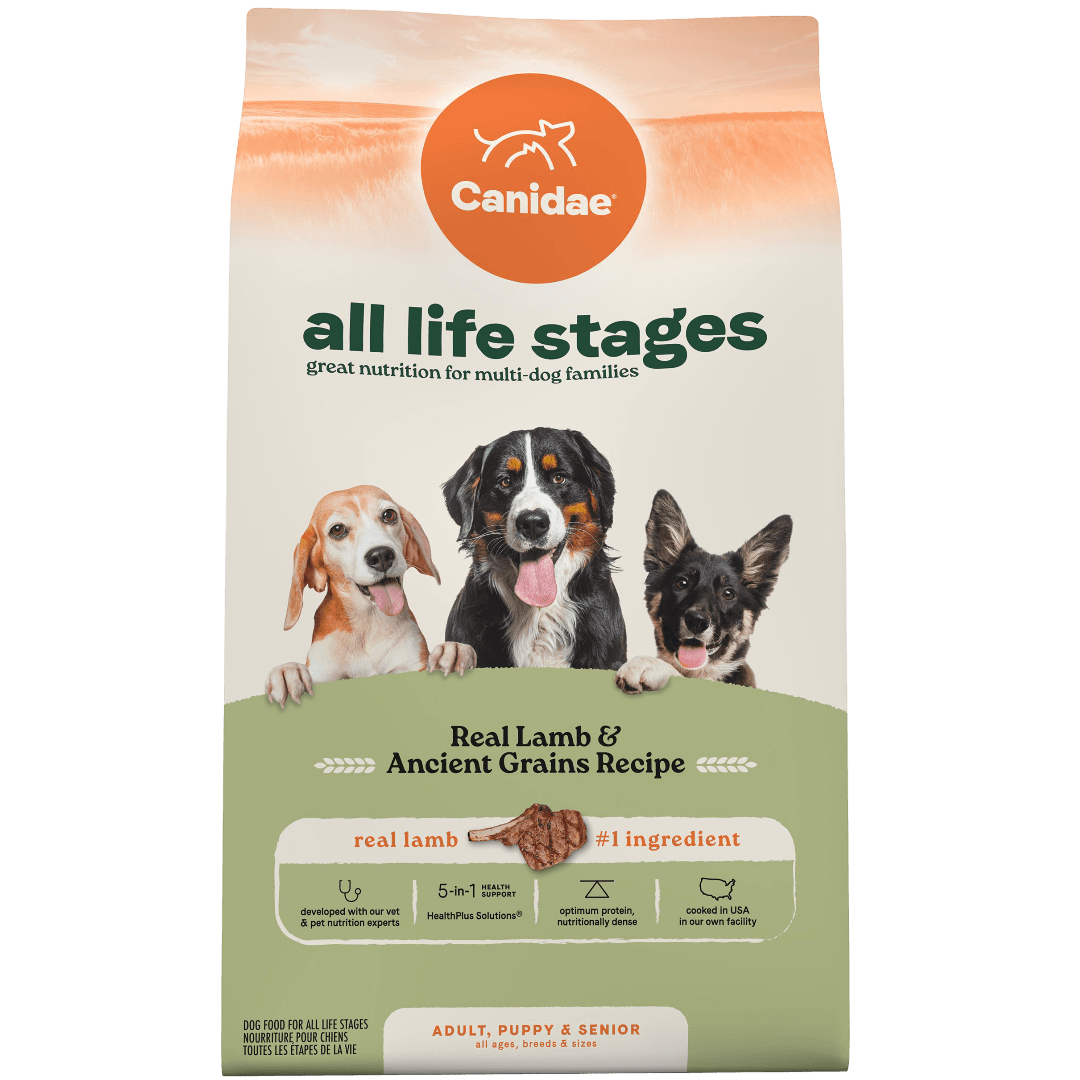 All Life Stages Lamb & Ancient Grains Dry Dog Food