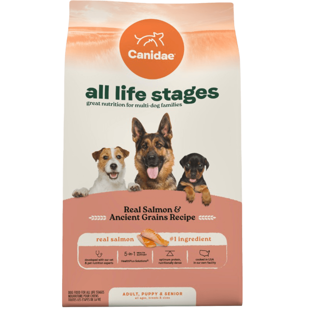 All Life Stages Salmon & Ancient Grains Dry Dog Food
