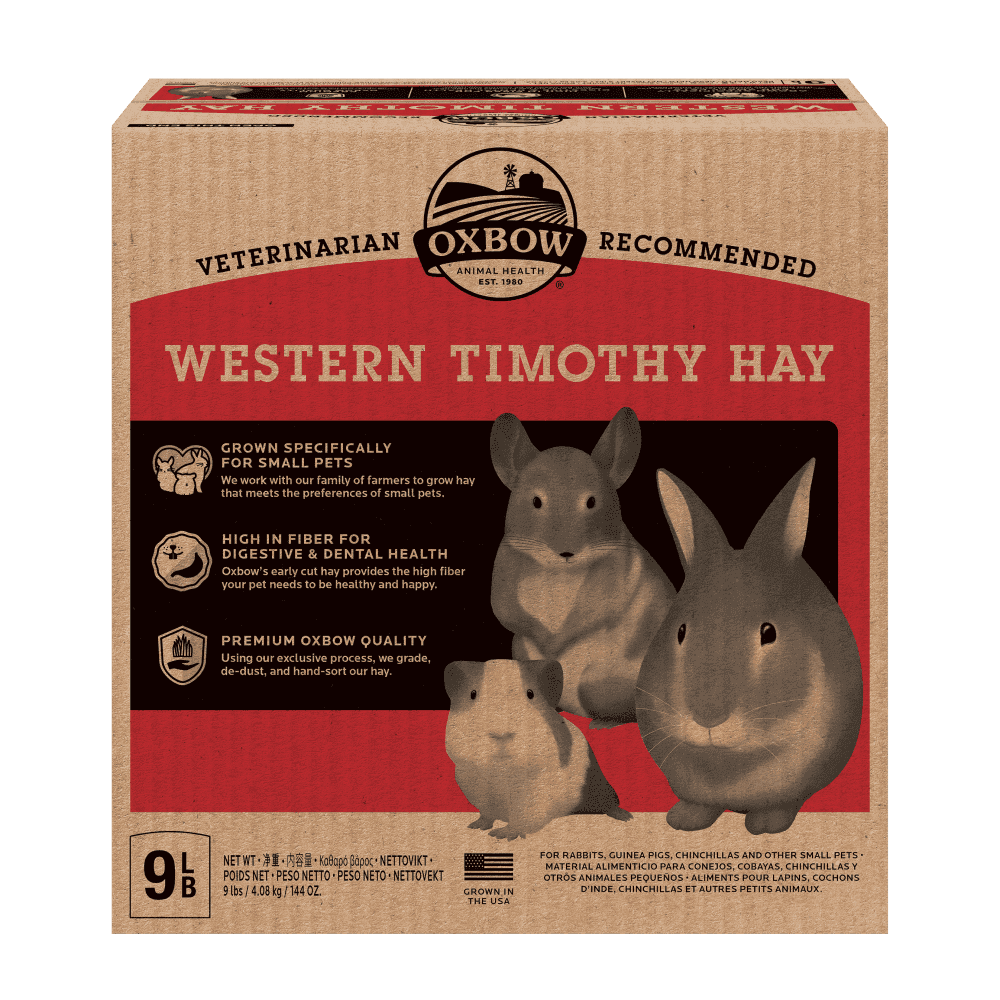 Western Timothy Premium Grass Hay For Rabbits And Guinea Pigs