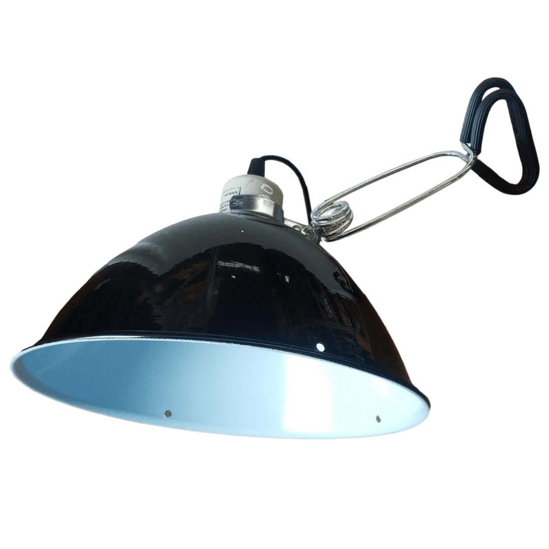 Lamp N Clamp