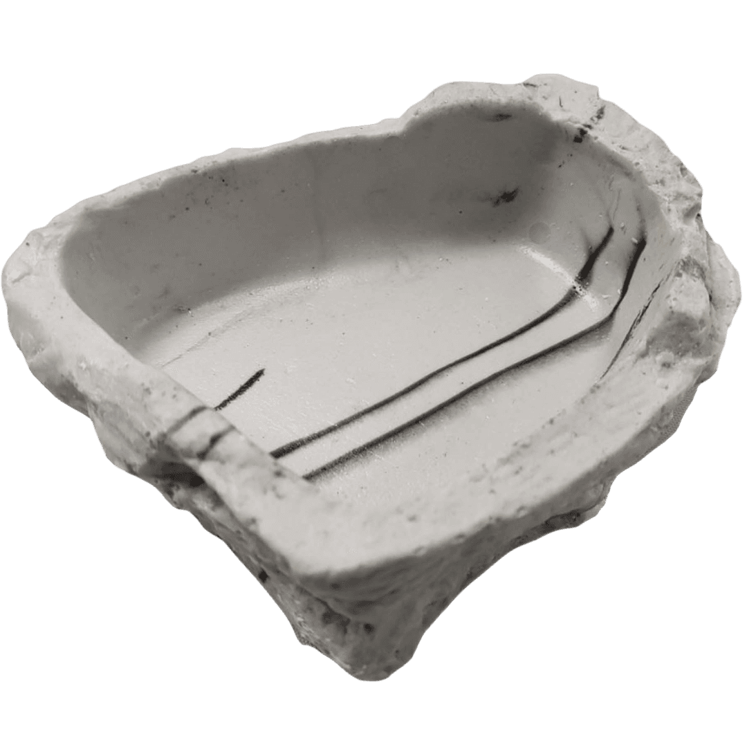 Billabong Bowl Sandstone for Reptiles