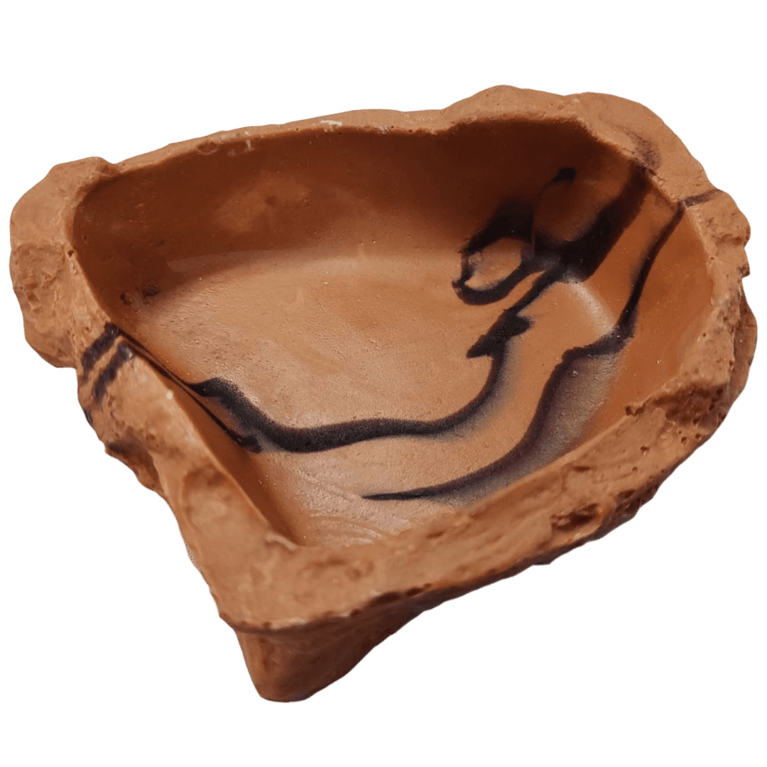 Billabong Bowl Brown for Reptiles