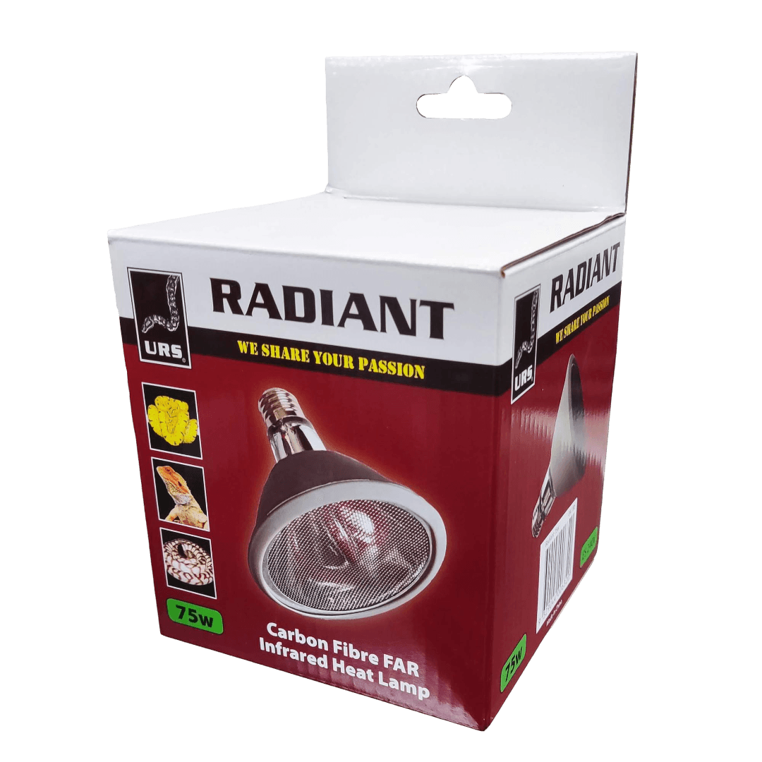 Radiant Globe