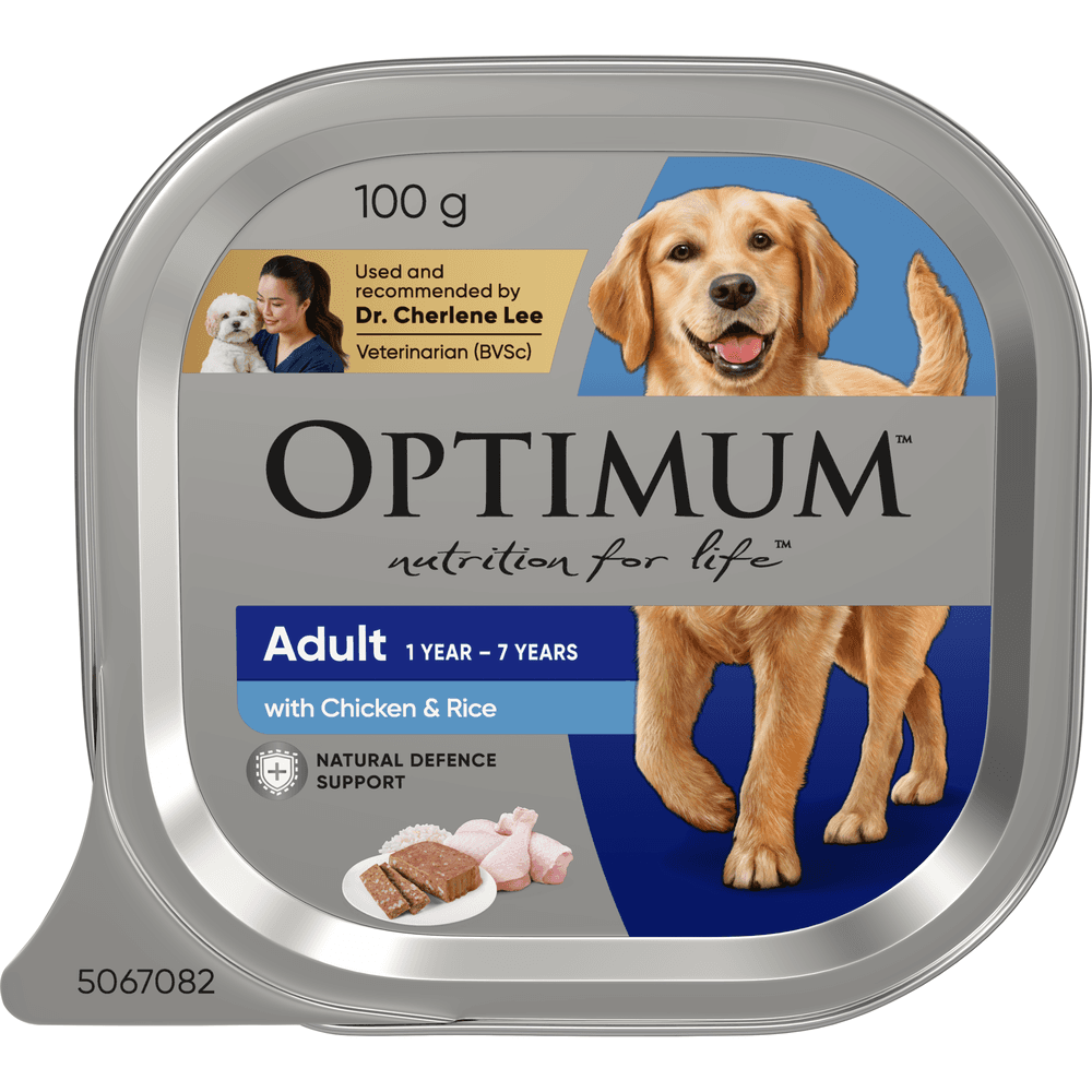 Optimum Chicken and Rice Adult Wet Dog Food Trays