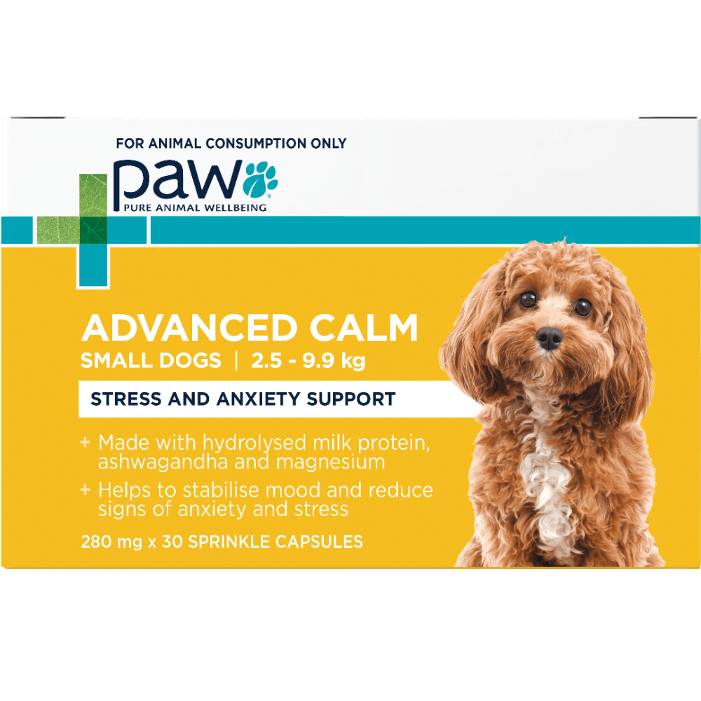 Advanced Calm Stress Anxiety Support Small Dogs