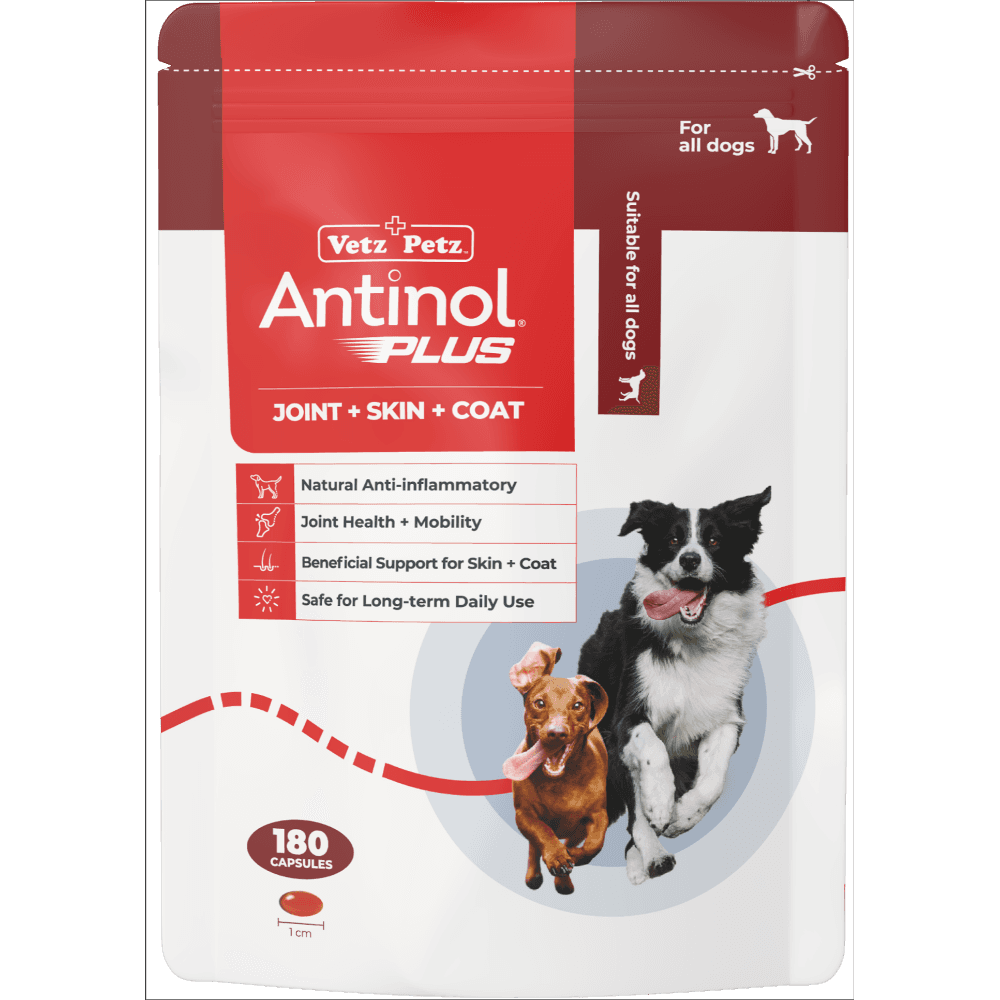 Vetz Petz Antinol Plus Joint Supplement Capsules For Dogs
