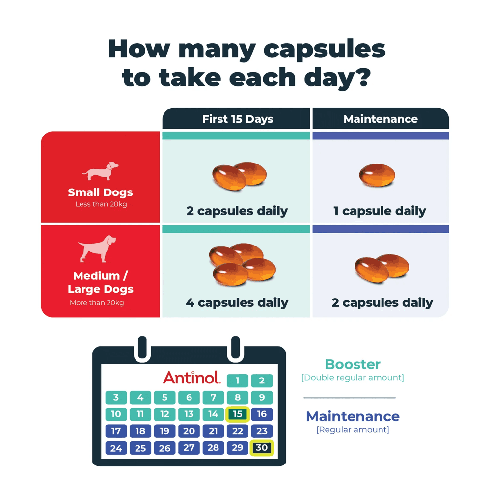 Vetz Petz Antinol Plus Joint Supplement Capsules For Dogs