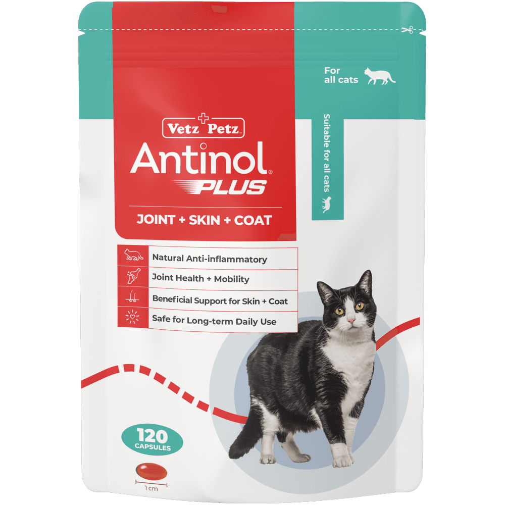 Vetz Petz Antinol Plus Joint Supplement Capsules For Cats