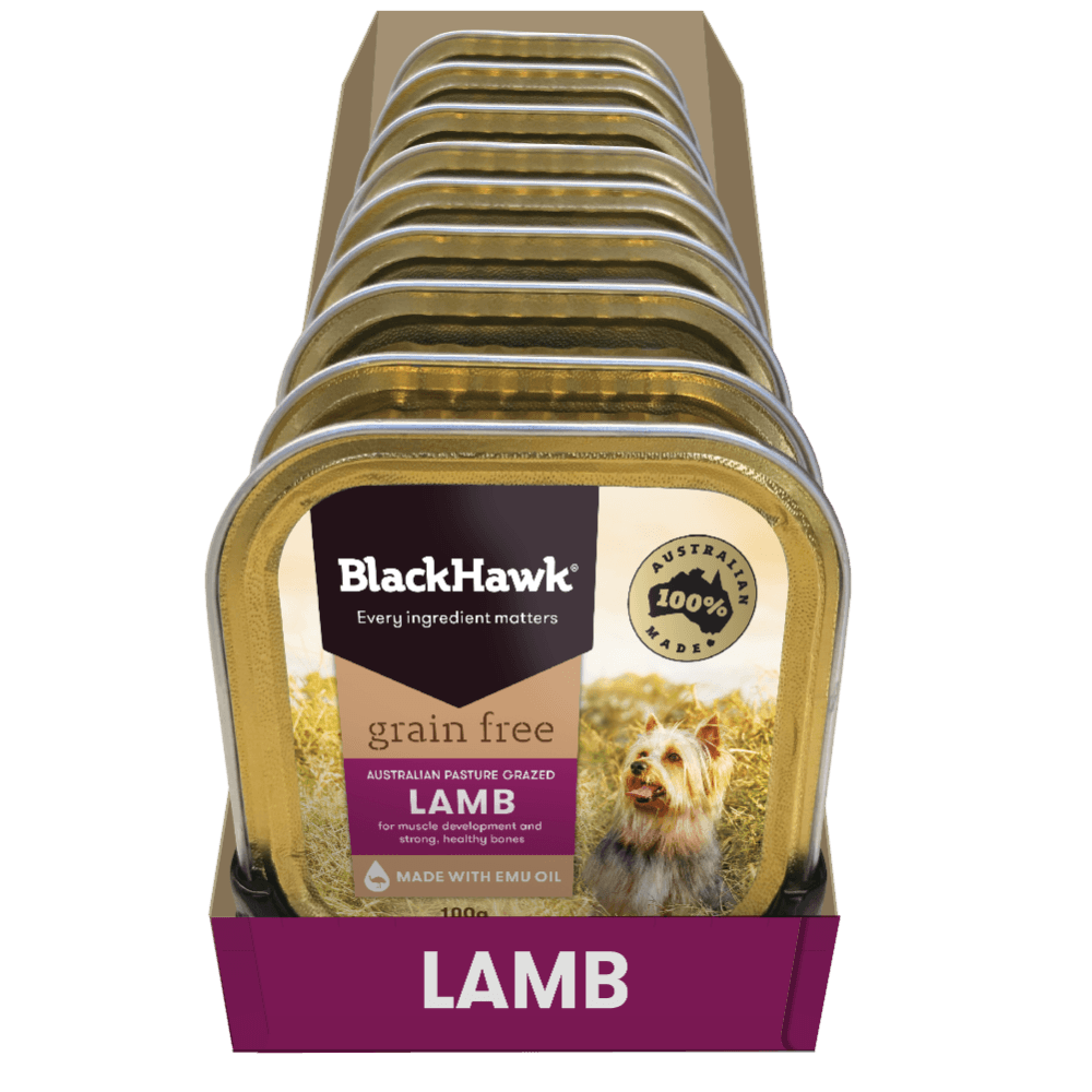 Lamb Grain Free Adult Wet Dog Food Trays