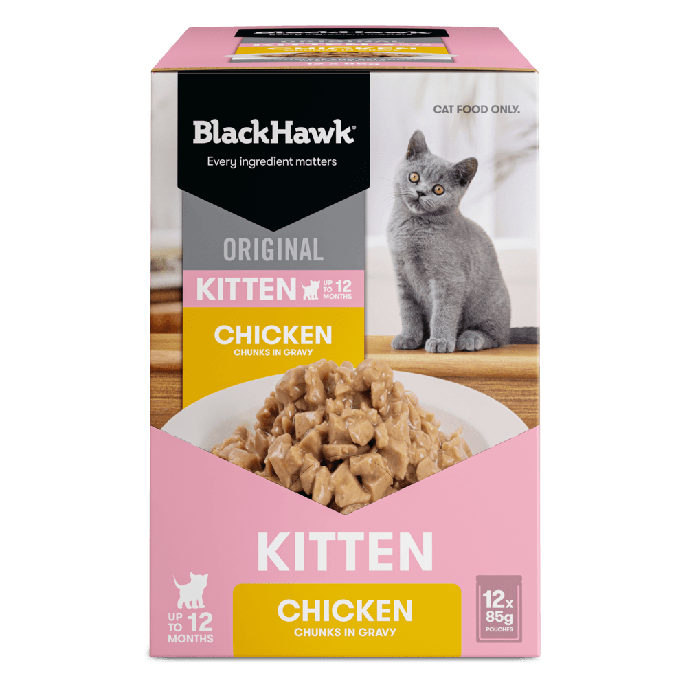 Wet Cat Food Kitten Chicken In Gravy Pouches
