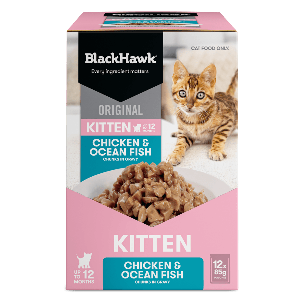 Wet Cat Food Kitten Chicken And Fish In Gravy Pouches