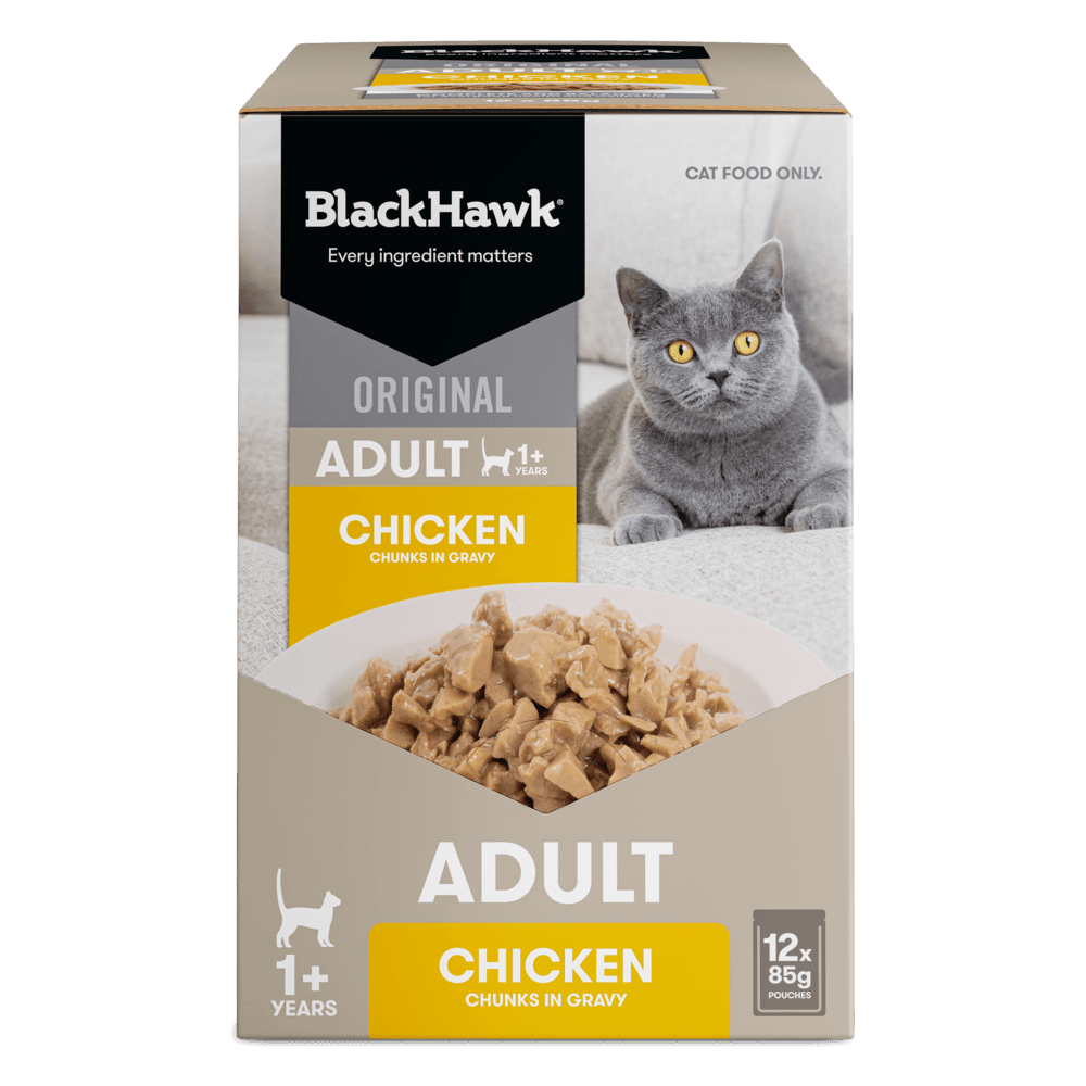 Wet Cat Food Adult Chicken In Gravy Pouches