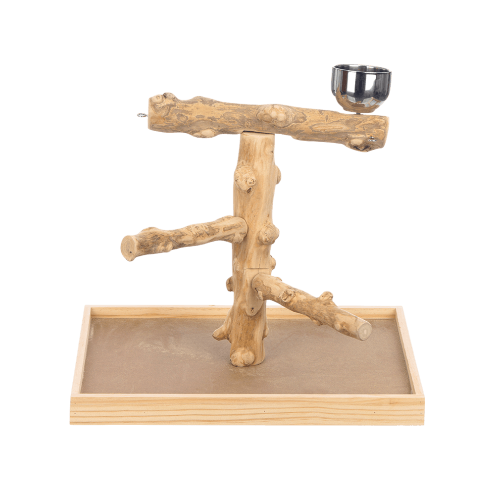 Birdie Jungle Java Wood Bird Gym