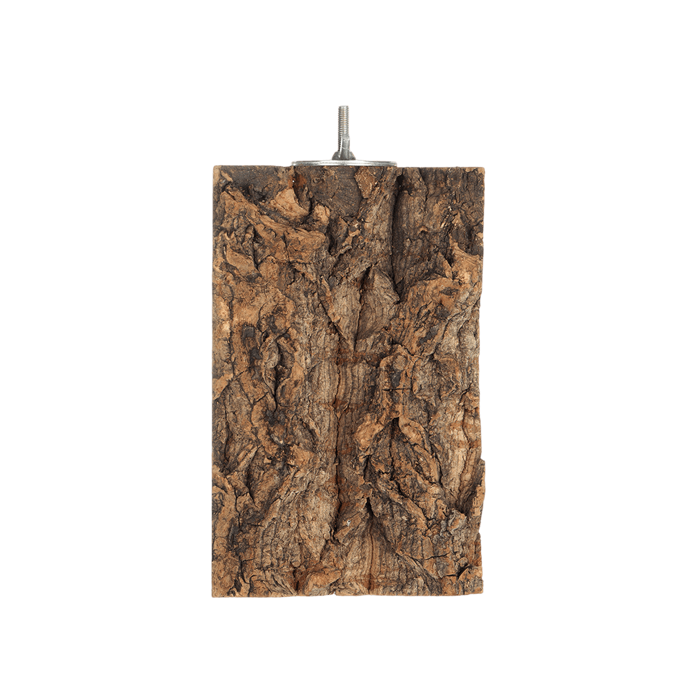 Cork Bark Perch Bird
