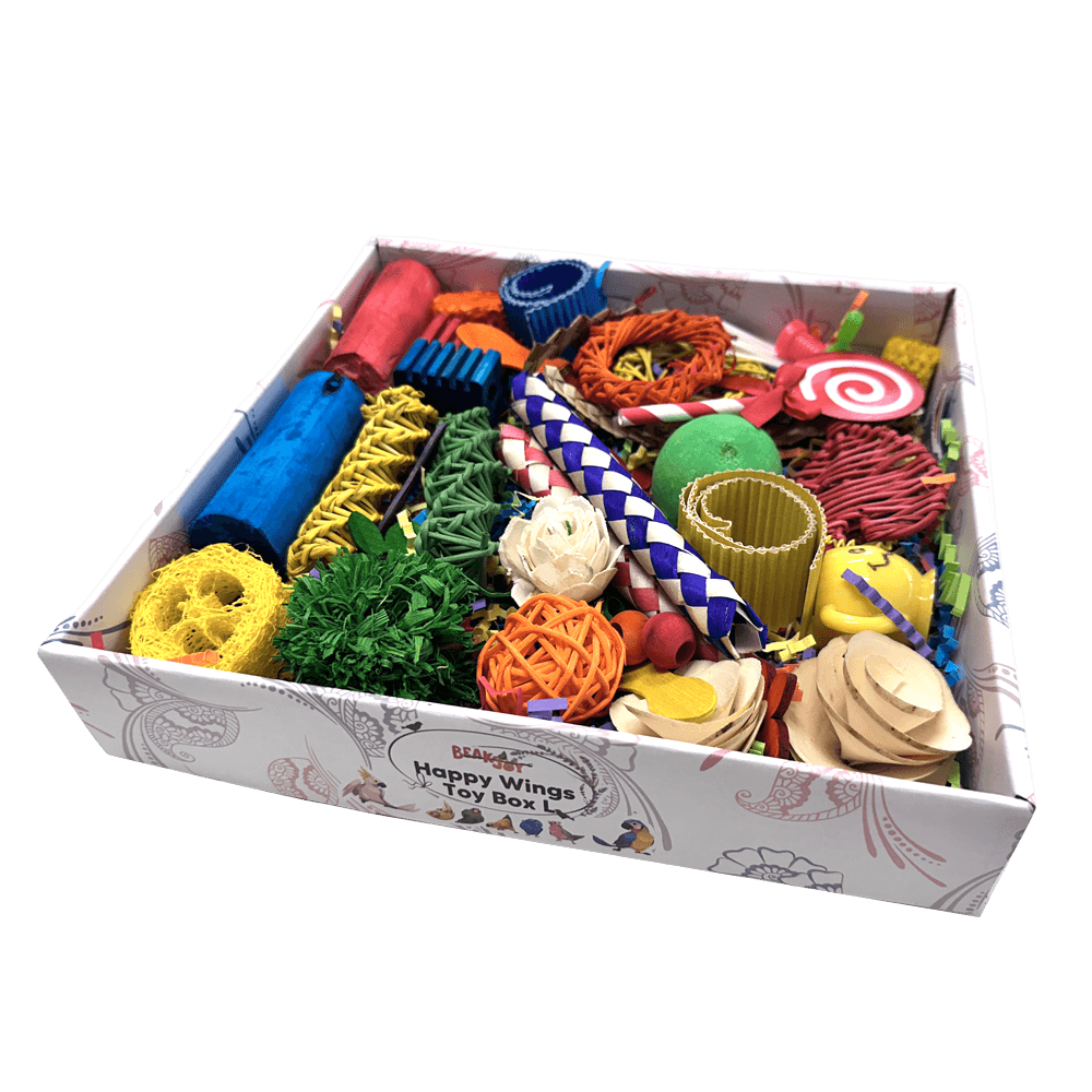 Happy Wings Foraging Bird Toy Box