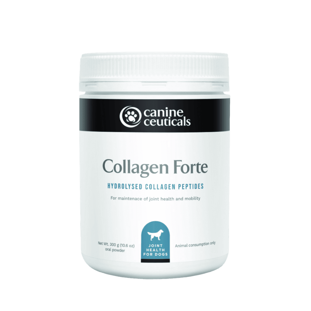 Collagen Forte Hydrolysed Collagen Peptides For Dogs