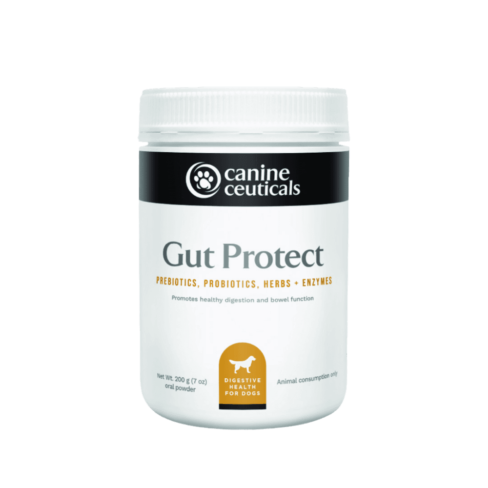 Gut Protect Digestive Health Powder For Dogs