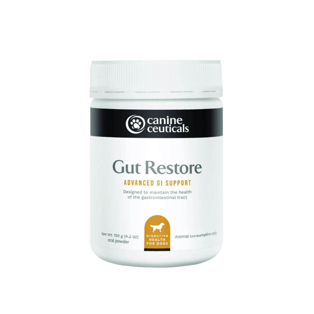 Gut Restore Advanced GI Support Powder For Dogs