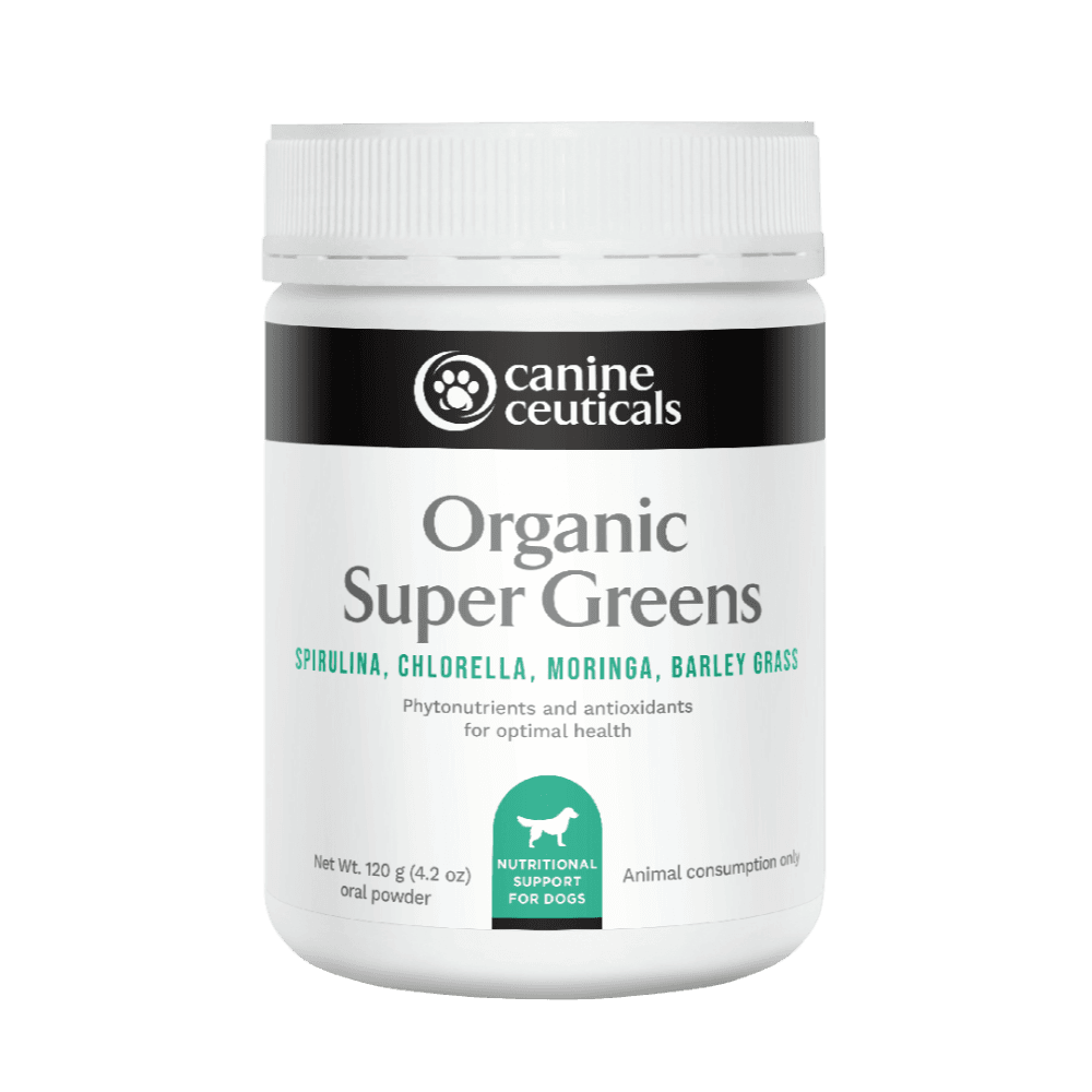Organic Super Greens Phytonutrient Powder For Dogs