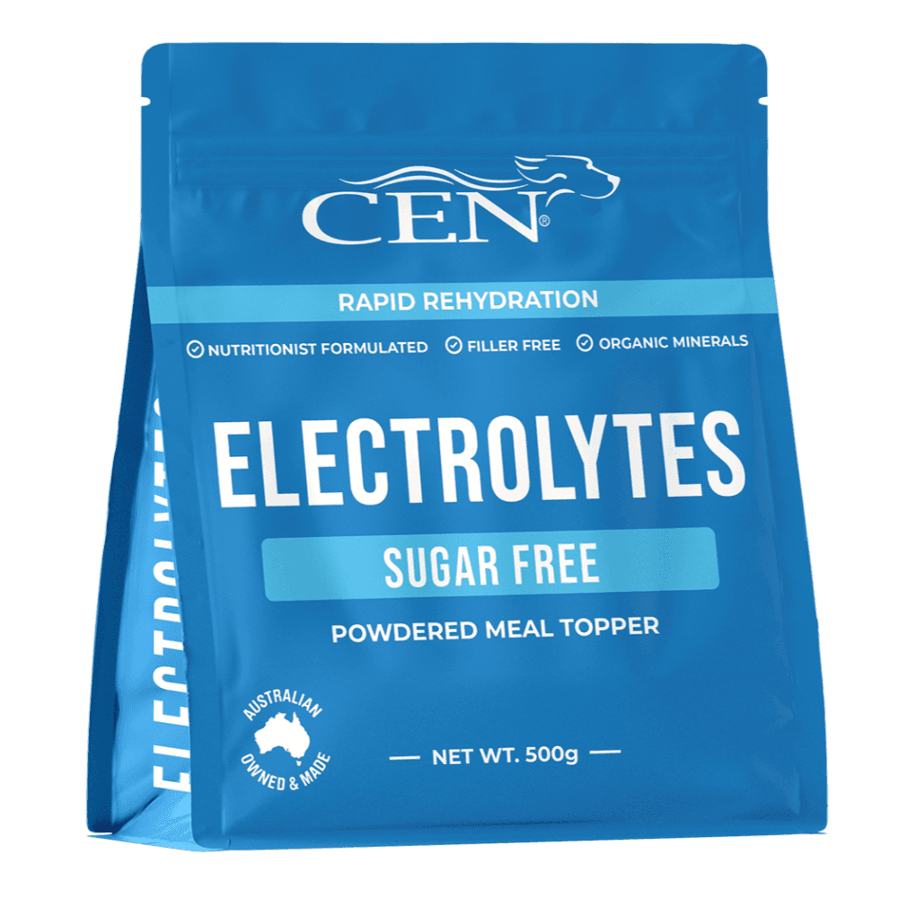 Electrolytes For Dogs